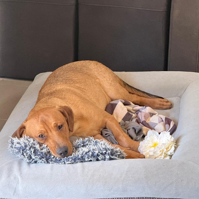 Photo of Ajax