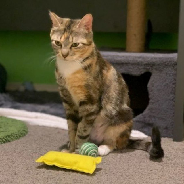 Photo of Maisey 🌹🌹