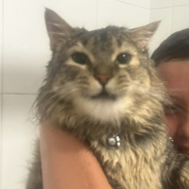Photo of Klaus