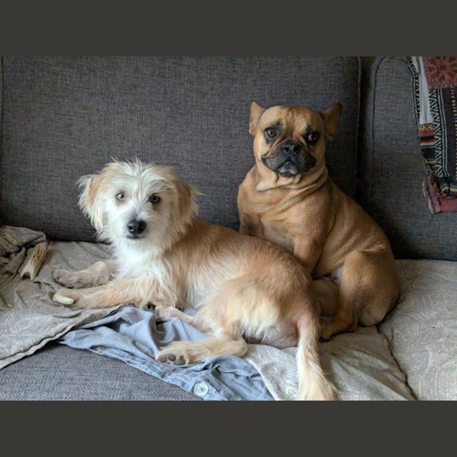 Photo of Georgie O'cleary