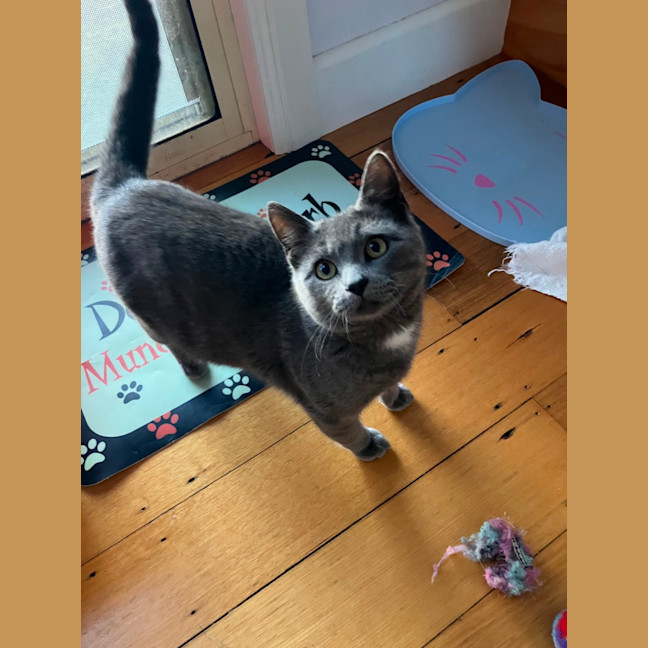 Photo of Gus