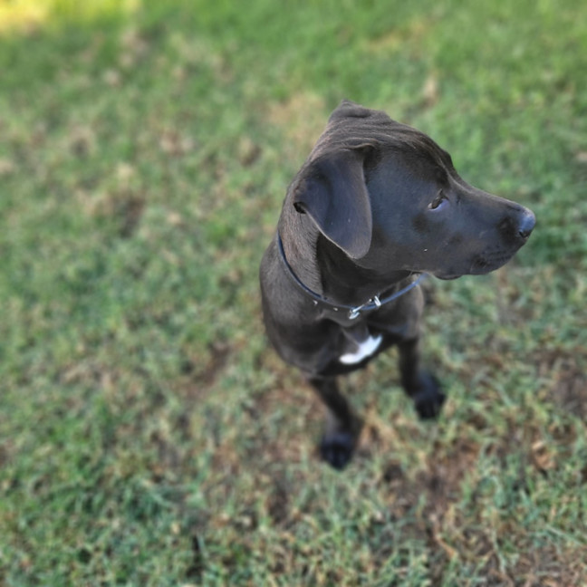 Photo of Terry