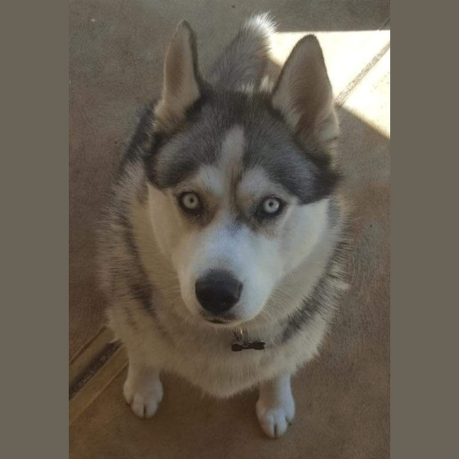 Photo of Sasha 