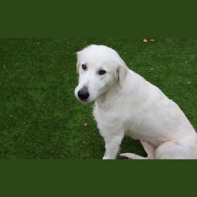 Photo of Maisy 