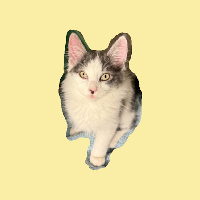 Photo of Crunchie