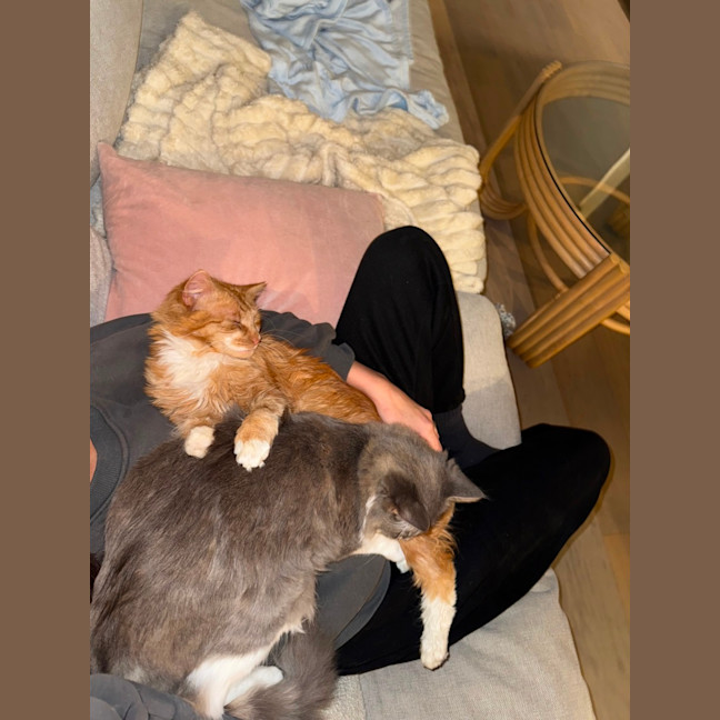 Photo of Sunny The Cuddle Champion