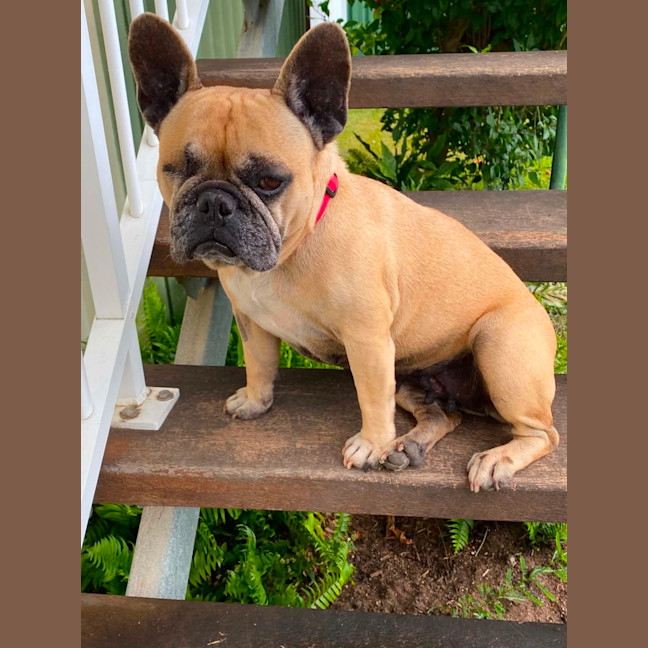 Photo of Betty