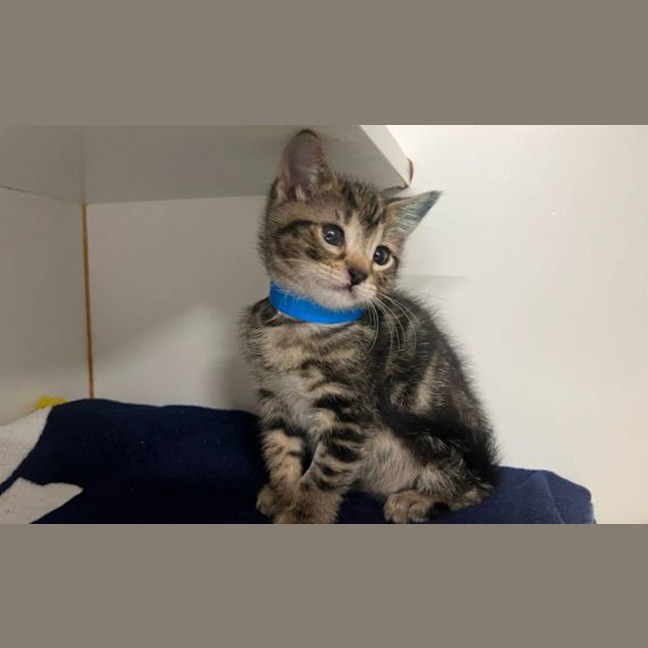 Photo of Wilbur