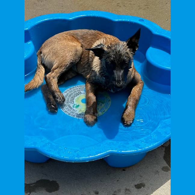 Photo of Roxy ** So So Special **
