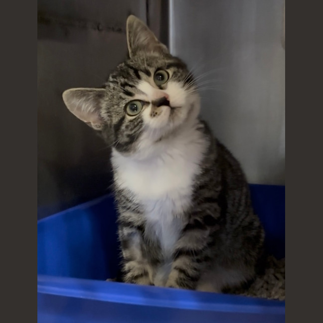 Photo of Lennox (Lenn) 