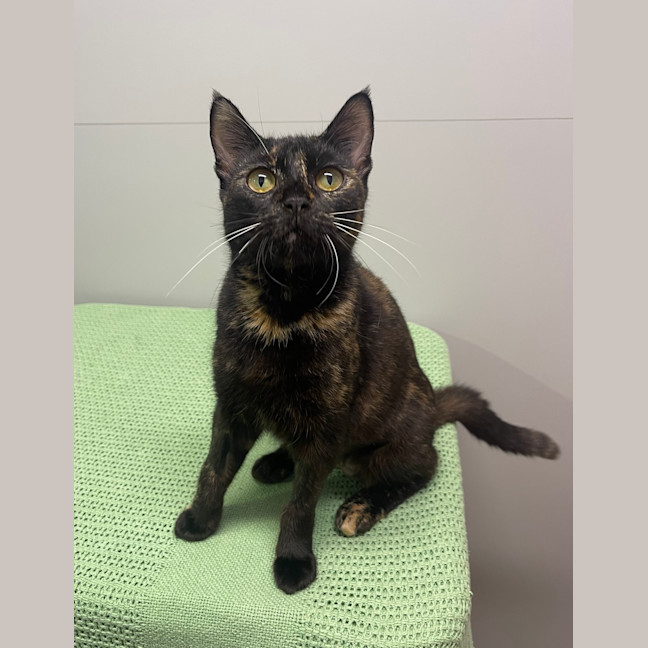 Photo of Dolly Parton