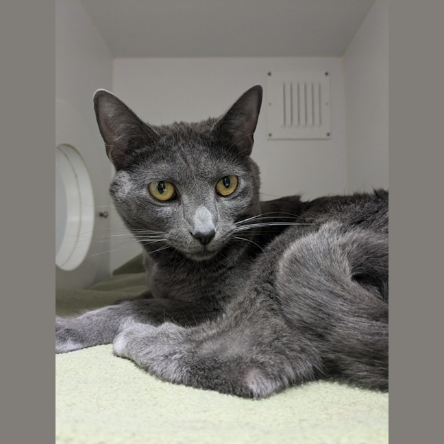 Photo of 🐻 Bear 5698 🐻