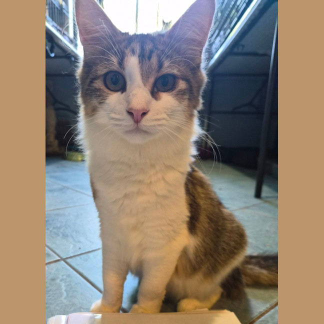 Photo of Watson 