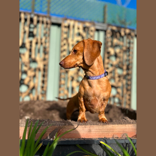 Photo of Eviee