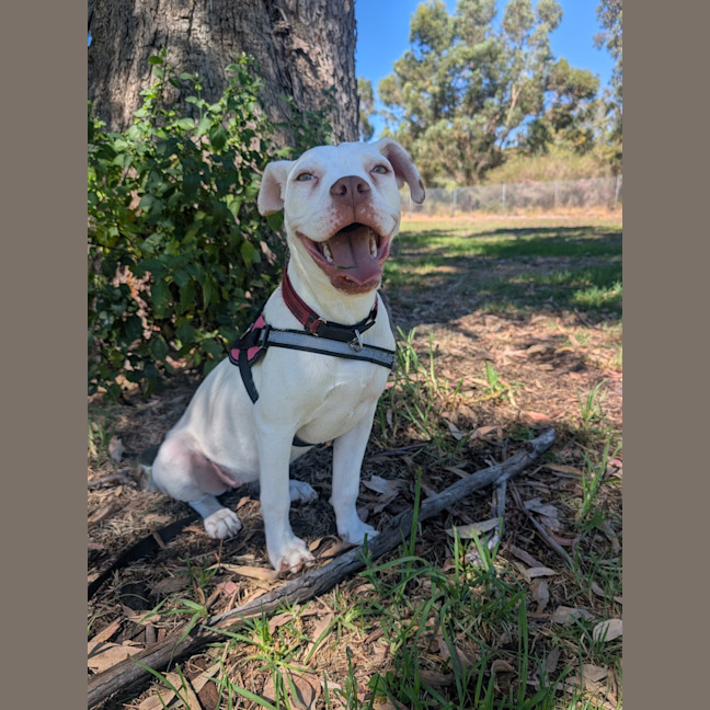 Photo of Polka