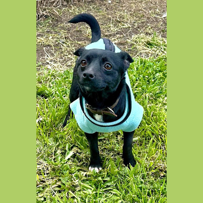 Photo of Scott (Turbo)