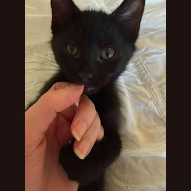 Photo of Laverne