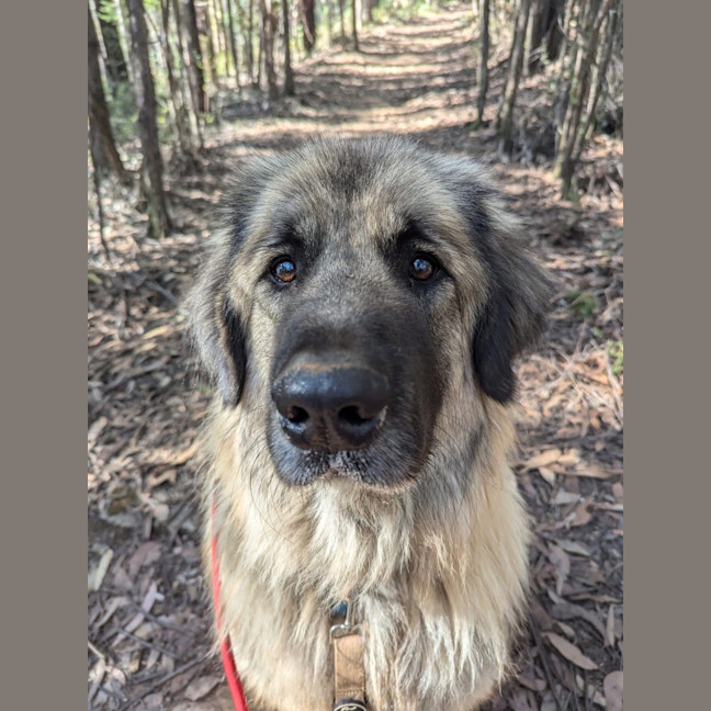 Photo of Hercules