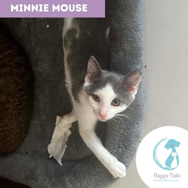 Photo of Mini Mouse