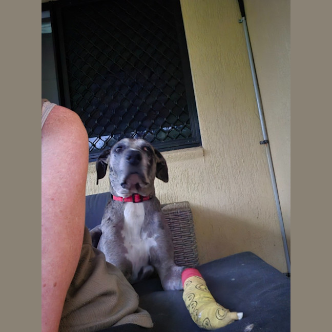 Photo of Jada