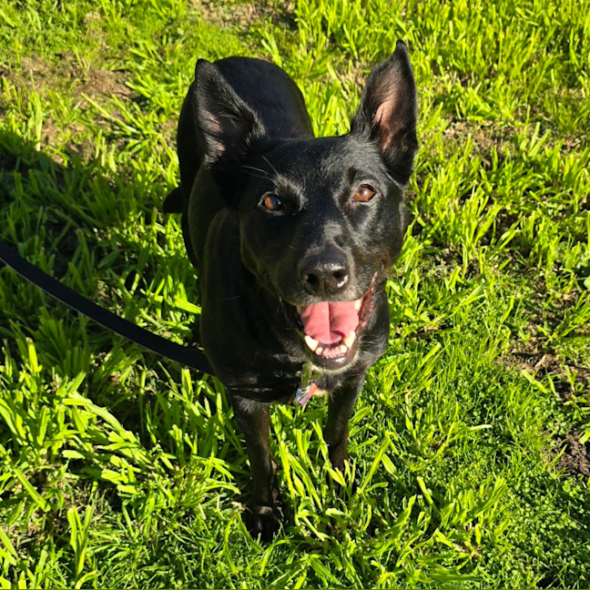 Photo of Bess