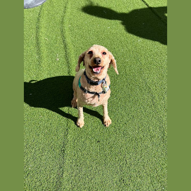Photo of Ellie