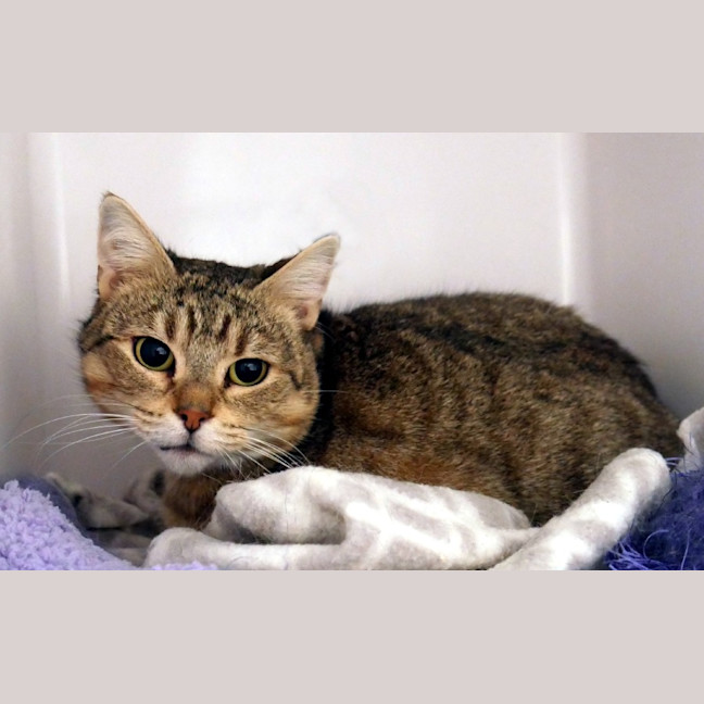 Photo of Alice Sta014922