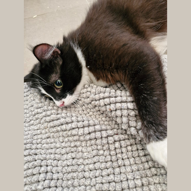 Photo of Betsy
