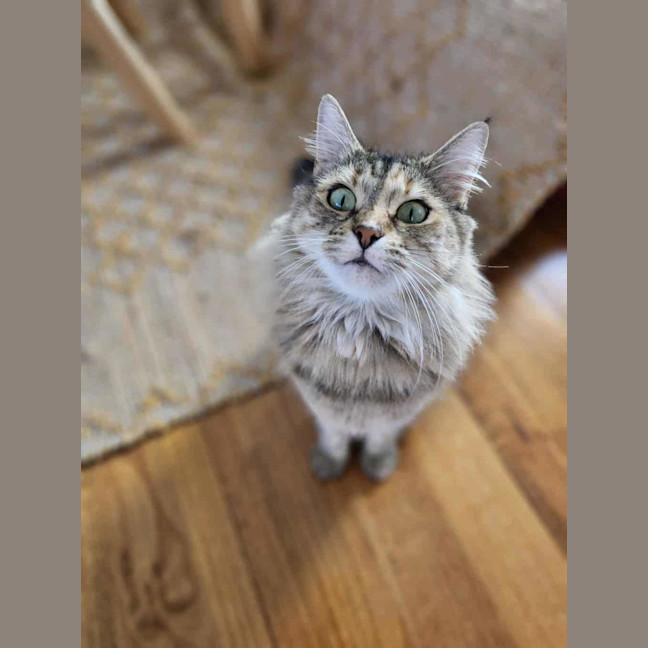 Photo of Babs