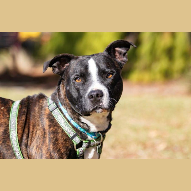 Photo of Hank Peggotty