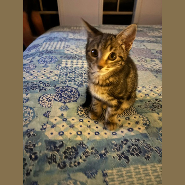 Photo of Lexi