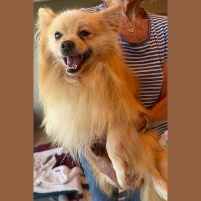 Photo of Toby