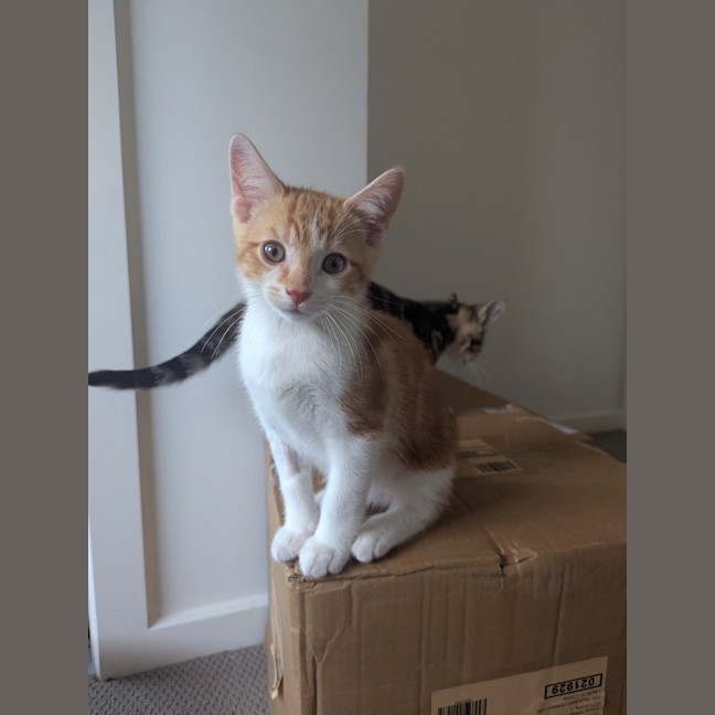 Photo of Stanley Golden