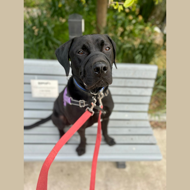 Photo of Bobbi