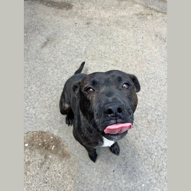 Photo of Miguel Los Santos