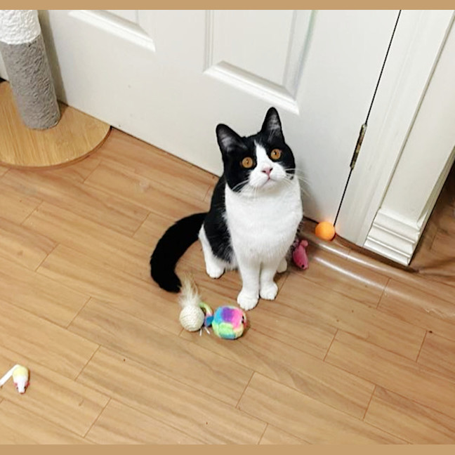 Photo of 🍀Blanaid🍀