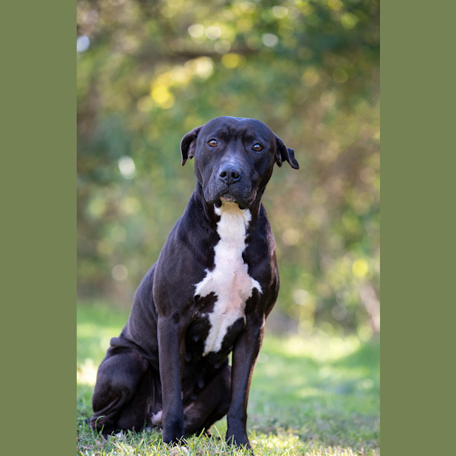 Photo of Roxy