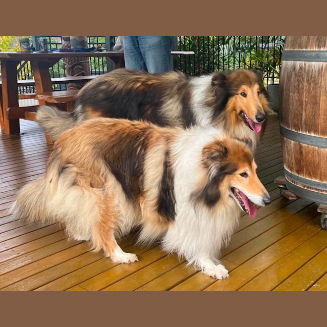 Photo of Buddy & Lilly