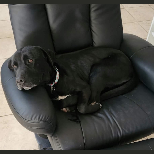Photo of Missy