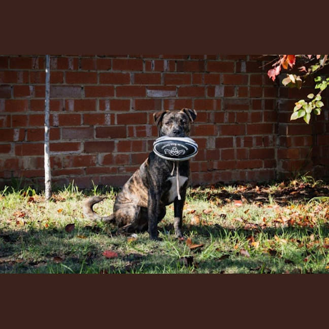 Photo of Benny Lozano