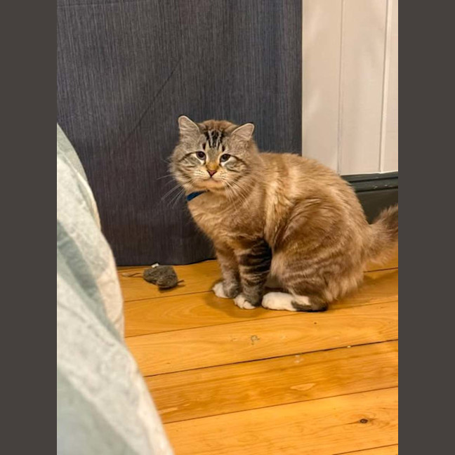 Photo of Oscar