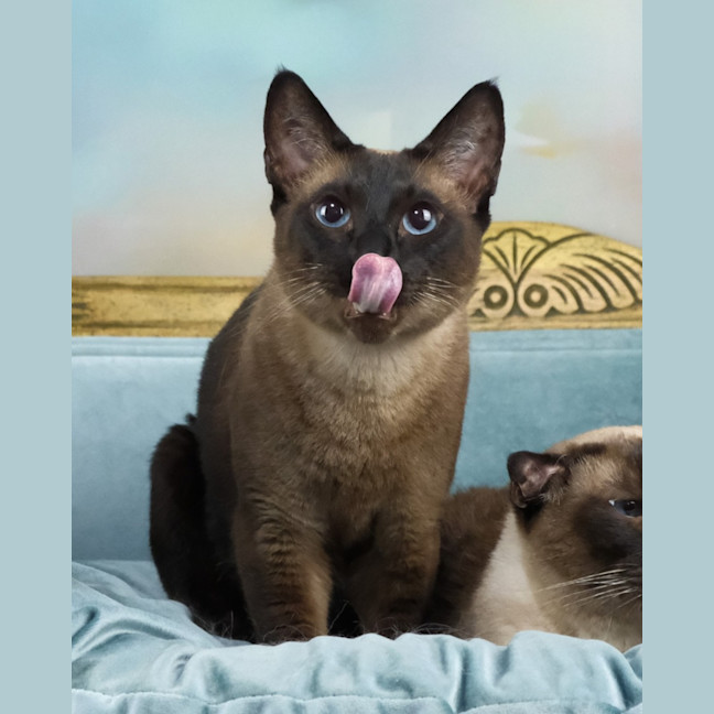 Photo of Skadi And Freya