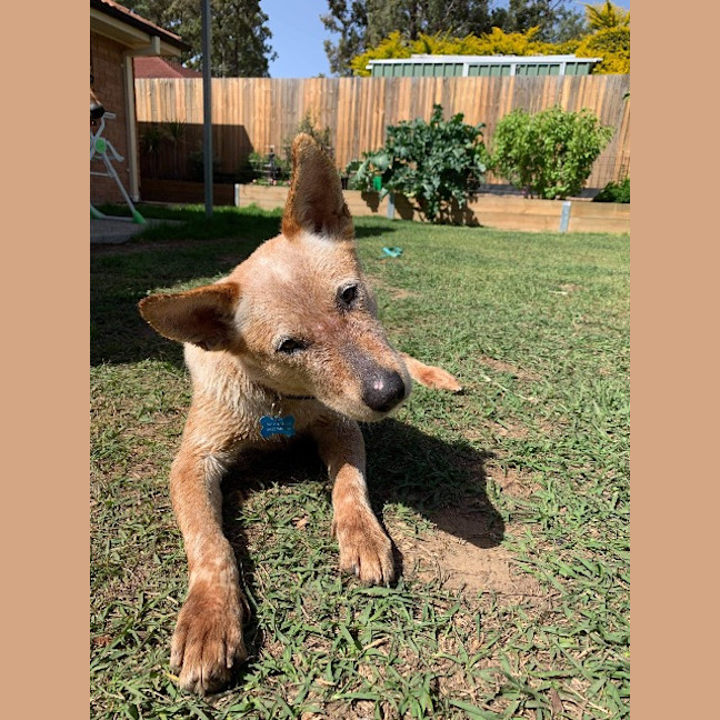 Photo of 1748. Niska