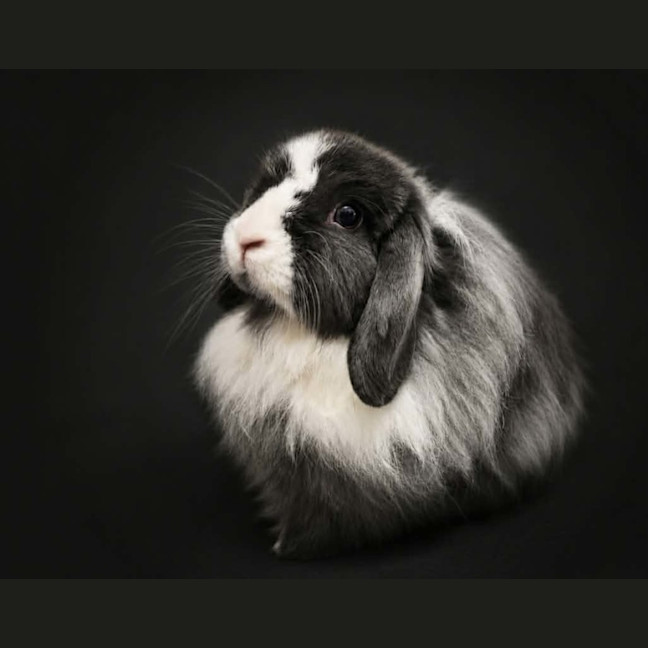 Photo of Richelle