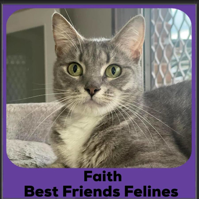 Photo of Faith