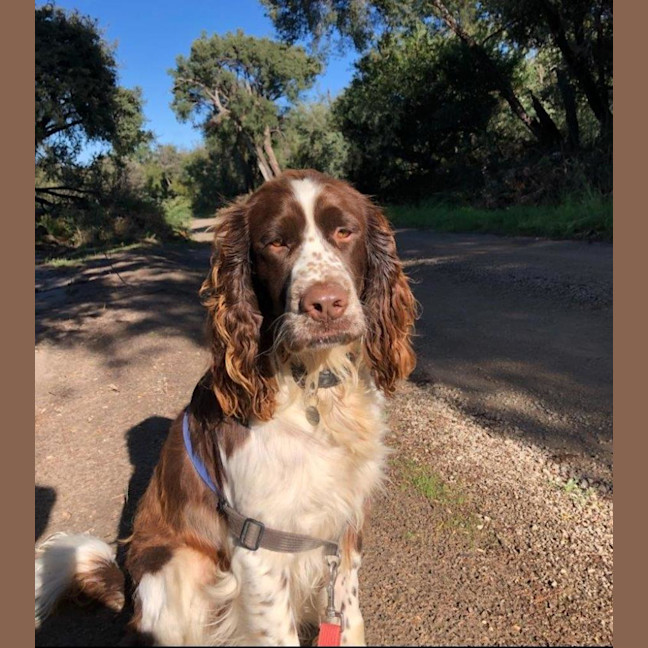 Photo of Ralph Valenti