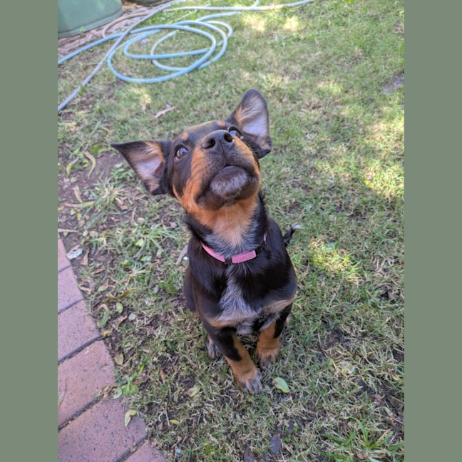 Photo of Adelaide