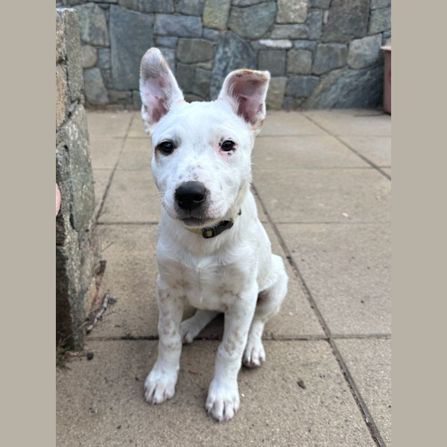 Photo of Moira