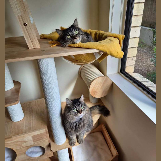 Photo of Besom & Stang