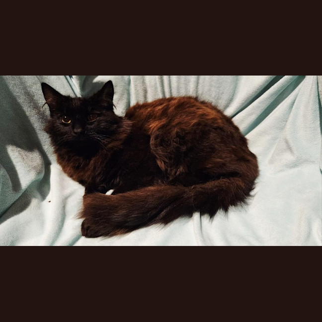 Photo of Baron